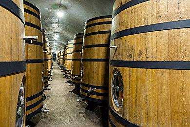 打越钢太郎发布神秘信息 或是暗示《Ai：梦境档案》新作